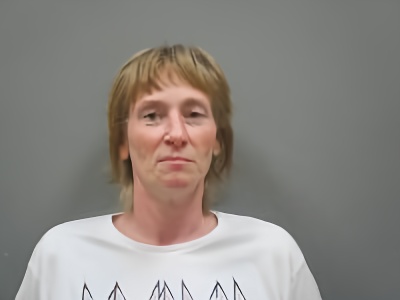Mugshot of Sarah Nicole Martin