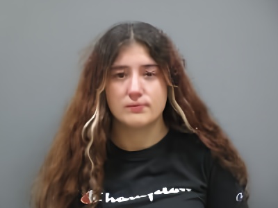 Mugshot of Denise Ann Marie Moser