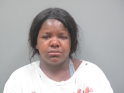 Mugshot of Shaeleigh Ann Fletcher