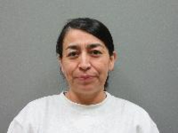 Mugshot of Azugey Ramirez-Ulloa