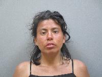 Mugshot of Maria Alicia Perez