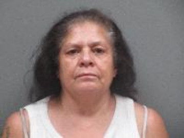 Mugshot of Diane Marie Bustos