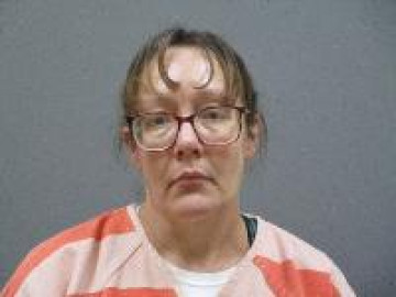Mugshot of Kari Lynn McAllister