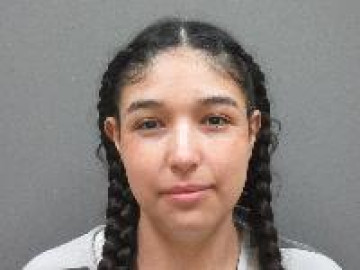 Mugshot of Daniela Nmn Torres-Hernandez