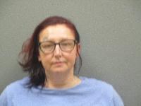 Mugshot of Licia Lynn Fields