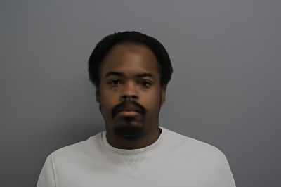 Mugshot of Terron Michael Nelson