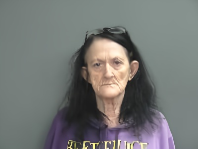 Mugshot of Pamela J Scheuffele
