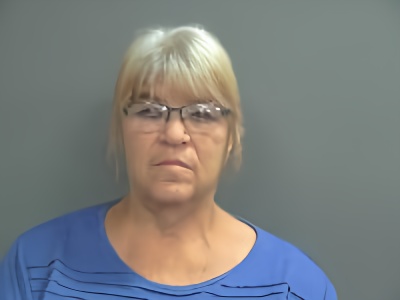 Mugshot of Robin Annette Sheets
