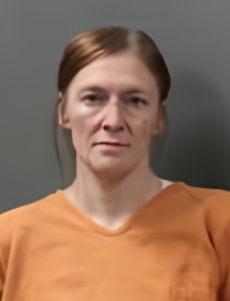 Mugshot of SARA D HOWELL