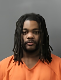 Mugshot of BRICE SOLOMON WILSON