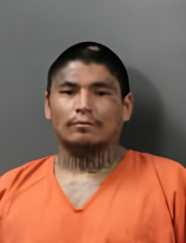 Mugshot of LEO DURAN