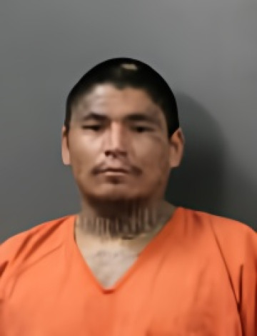 Mugshot of LEO DURAN