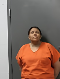 Mugshot of STEPHANIE APRIL HAUKAAS