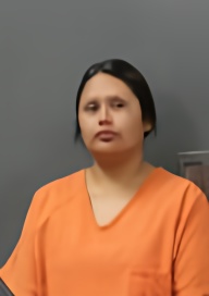 Mugshot of BRITTANY MERCEDES FELIX