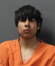 Mugshot of JULIUS LEE BAUER