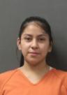 Mugshot of DESIREE CASTILLA WHITE CLOUD