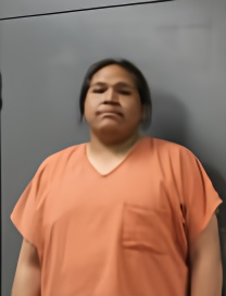 Mugshot of DAVID LITTLE
