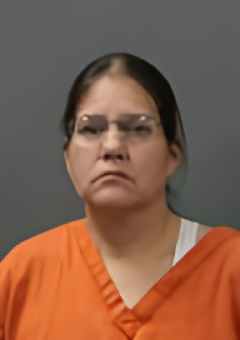 Mugshot of DONNA MARIE DOUVILLE