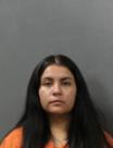 Mugshot of ERIN DENAE TORRES