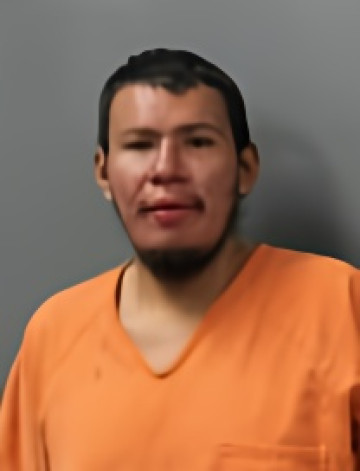 Mugshot of EDWIN DANIEL JR JANIS