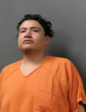 Mugshot of ALEXANDER RYAN MOUSSEAUX