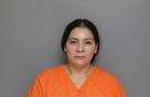 Mugshot of MELIDA YOLANDA SOSA DEL ARCA