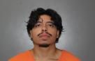 Mugshot of AARON NERI