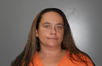 Mugshot of AMBER DAWN WILCOX