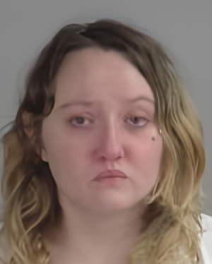 Mugshot of Tandi Lynn Huisenga
