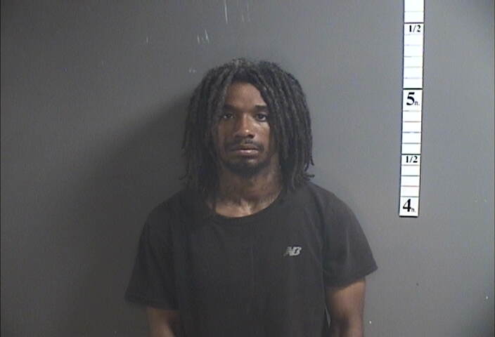 Mugshot of NAAMER PALMER