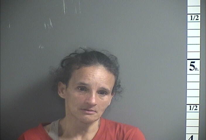 Mugshot of DOLLY RODRIGUEZ