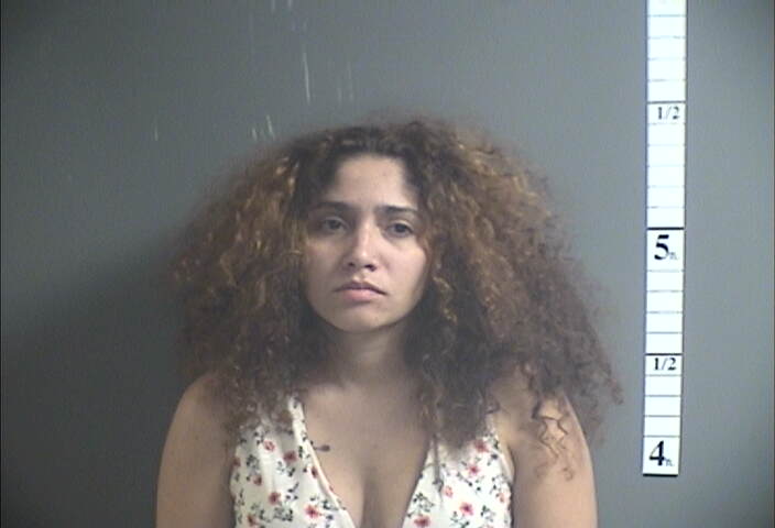 Mugshot of LEE SALAS-SANTIAGO