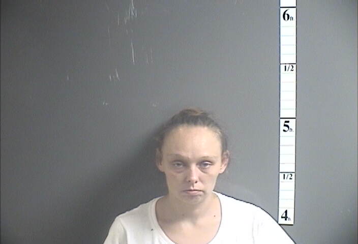 Mugshot of BRITTANIE L BLIZZARD