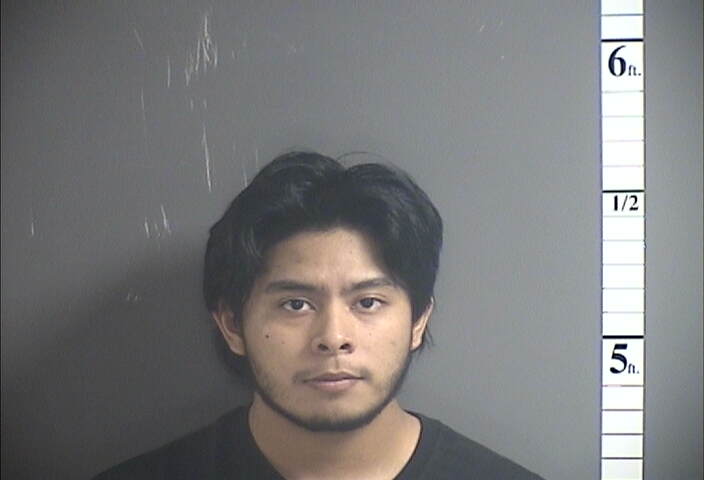 Mugshot of DANDY ROLDAN