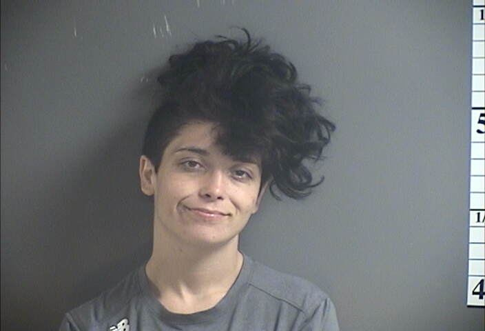 Mugshot of CHRISTAL SALEH