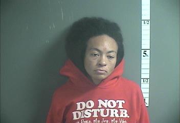 Mugshot of DIAMOND D SEGERS