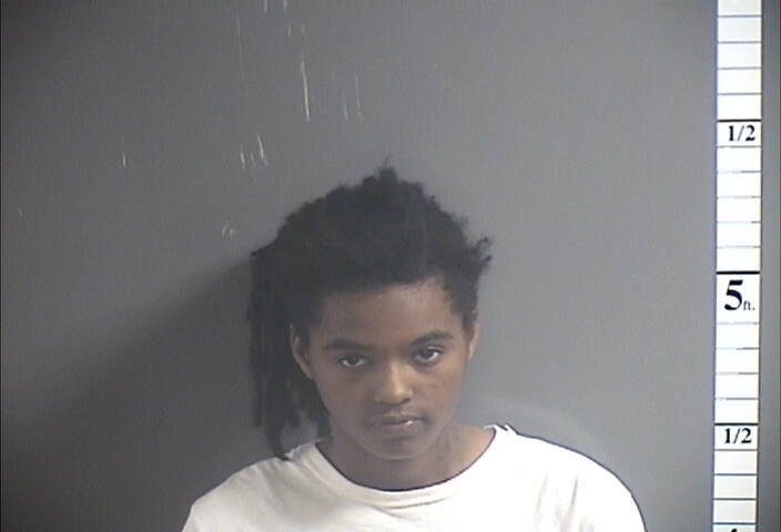 Mugshot of ANDREA MARTIN