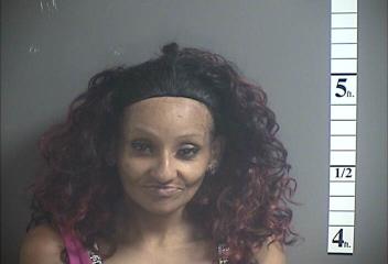 Mugshot of ELIZABETH S ROSARIO