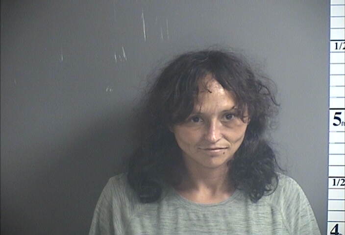 Mugshot of NINA A WILLIS