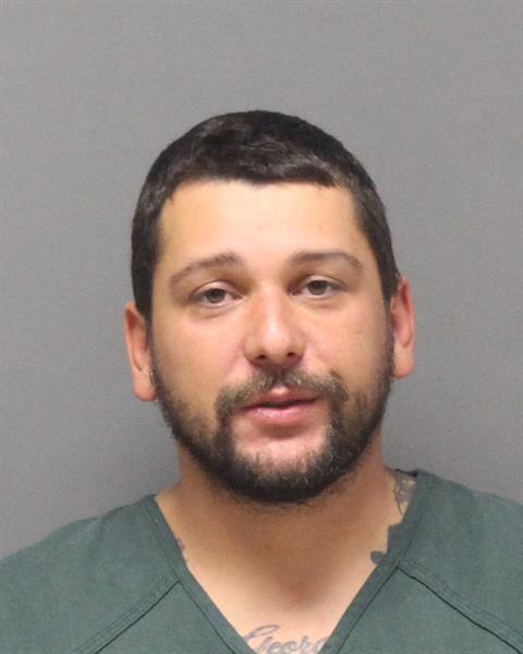 Mugshot of BLAKE XAVIER RINI