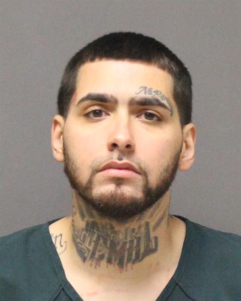 Mugshot of ORLANDO NMN DELVALLE