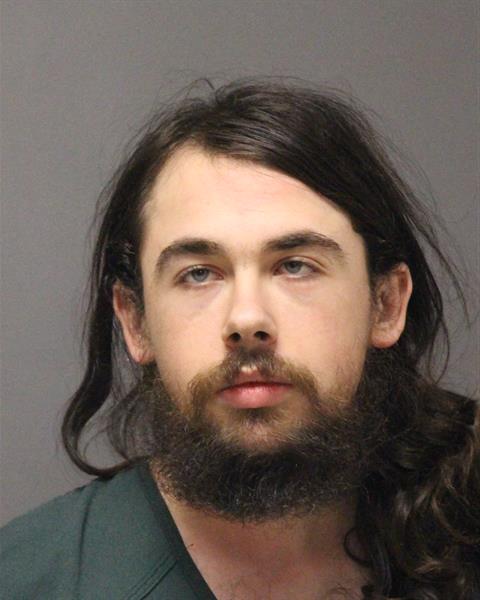Mugshot of DOMANIC HOLST