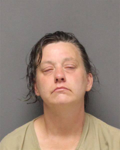 Mugshot of LISA MARIE DULANY