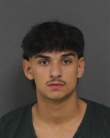 Mugshot of RYAN RIVERA