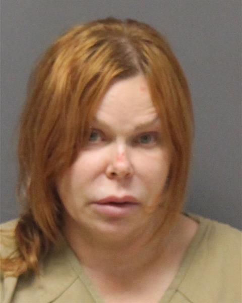 Mugshot of MELISSA ANNE KARWAN TOWNLEY