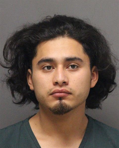 Mugshot of NELSON DE JESUS RAMOS-DIAZ