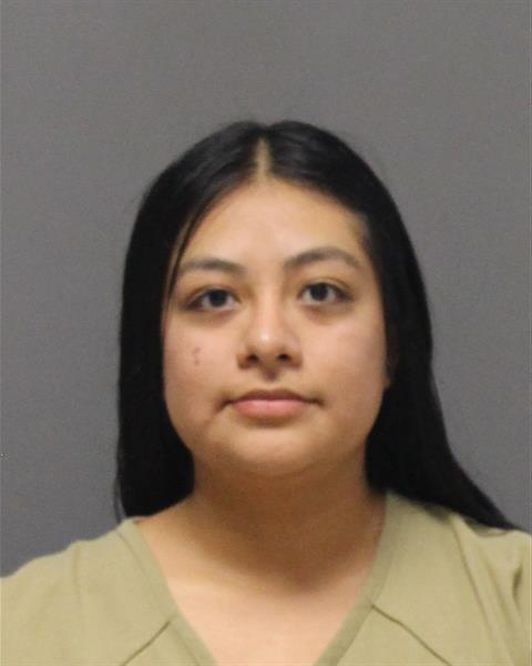Mugshot of BRIDGITTE NMN SACRAMENTO