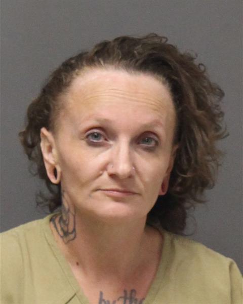 Mugshot of THERESA JONES
