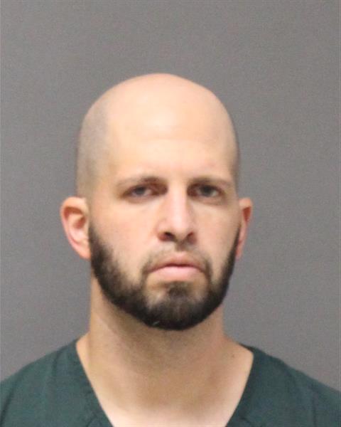 Mugshot of DAVID WILLIAM IRELAND