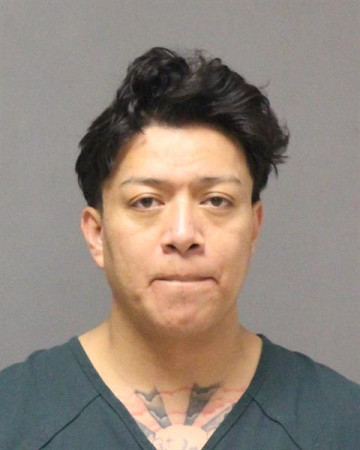 Mugshot of GEOVANNI ALFREDO TORRES-DELOSSANTOS